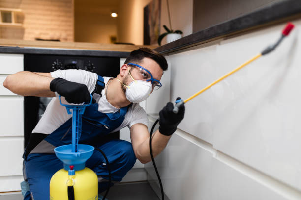 Best Ant Control Services  in Mitchell, SD